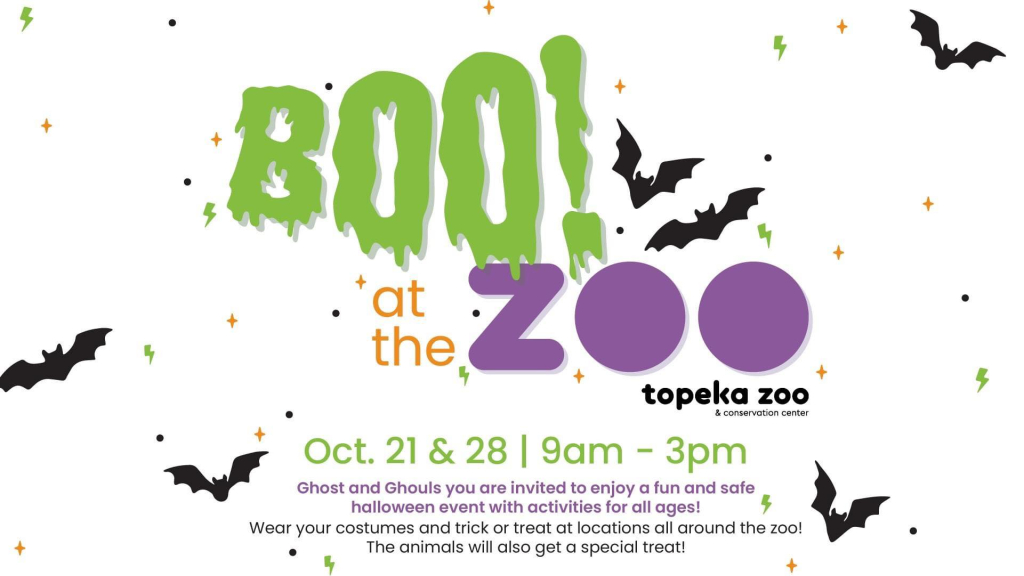 Boo At The Zoo 2024 Abq India Camel Corilla